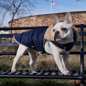 Fabdog Navy Shearling Dog Jacket, Size 16